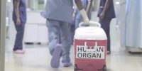 © Youtube "Organ Donation & Liver Transplantation" 