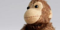 Scimmia  Gerhard Berliner's stuffed monkey © Jewish Museum Berlin, accession 2004/46/0, gift of Gert Berliner.