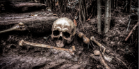 Resti umani da Skitterphoto CC 0 https://skitterphoto.com/photos/2274/human-skull