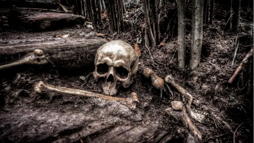 Resti umani da Skitterphoto CC 0 https://skitterphoto.com/photos/2274/human-skull