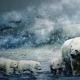 Mercatino di Natale, C Papafox https://pixabay.com/it/photos/polar-bear-mondo-animale-orso-polare-3413072/
