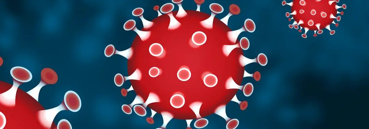https://pixabay.com/de/illustrations/corona-coronavirus-virus-pandemie-4893276/