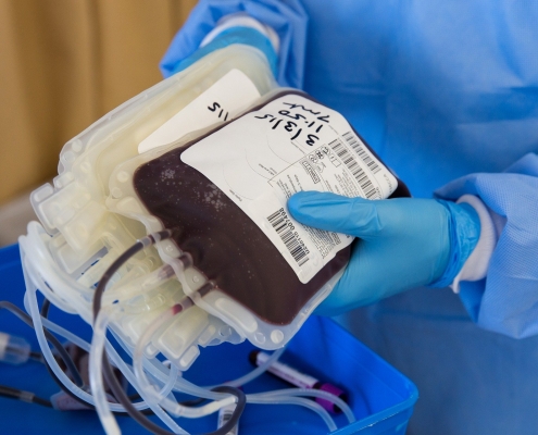 https://pixabay.com/it/photos/sangue-donazione-salute-donatore-4951009/
