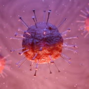 Coronavirus ©Thor_Deichmann da Pixabay https://pixabay.com/it/illustrations/corona-virus-corona-virus-covid-19-4916954/