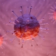 Coronavirus ©Thor_Deichmann da Pixabay https://pixabay.com/it/illustrations/corona-virus-corona-virus-covid-19-4916954/