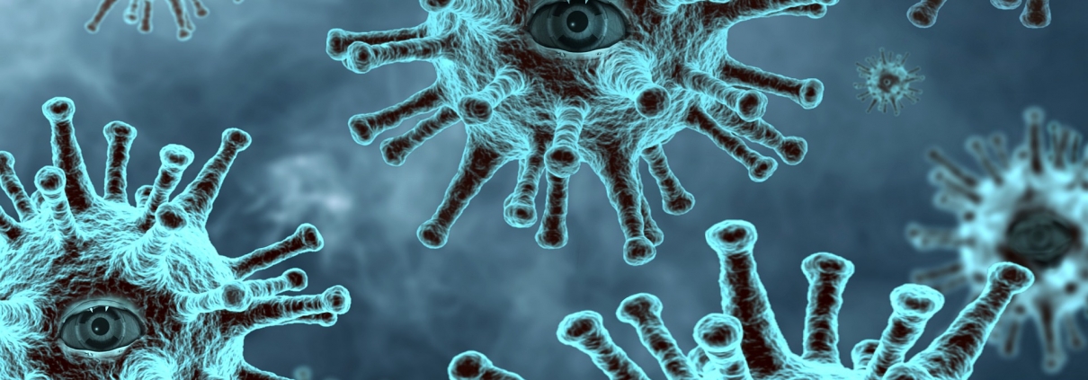 https://pixabay.com/it/photos/epidemia-coronavirus-in-agguato-4952933/