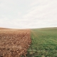 https://pixabay.com/it/photos/terreni-agricoli-prato-campo-801817/