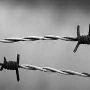 Barbed Wire Rust Rusty Wire Bound Twisted Sadness CC0 https://pixabay.com/photos/barbed-wire-rust-rusty-wire-bound-1269430/