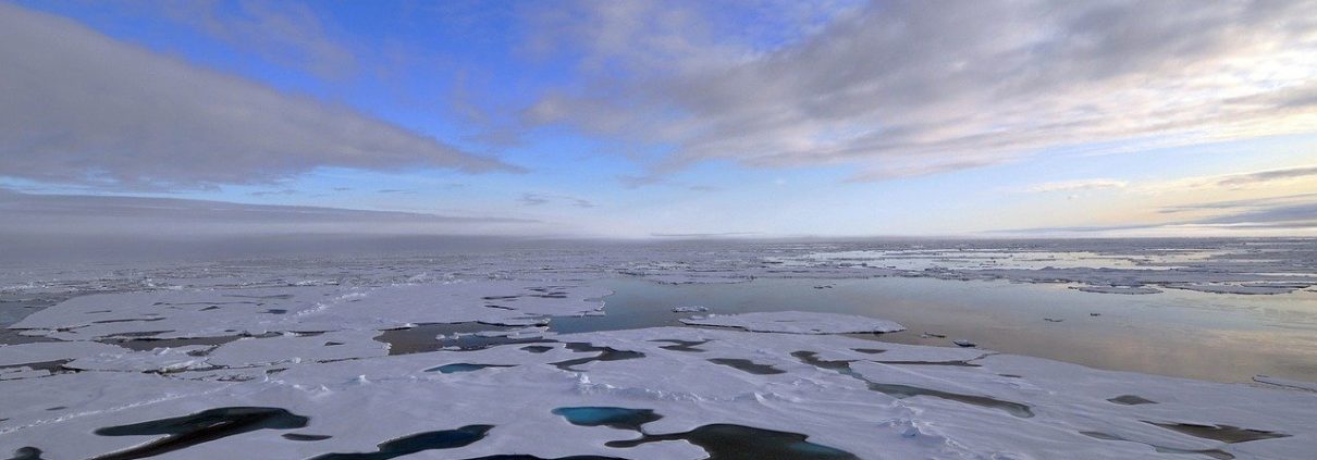 Oceano Artico ©Skeeze da Pixabay https://pixabay.com/it/photos/oceano-artico-ghiaccio-mare-1255679/