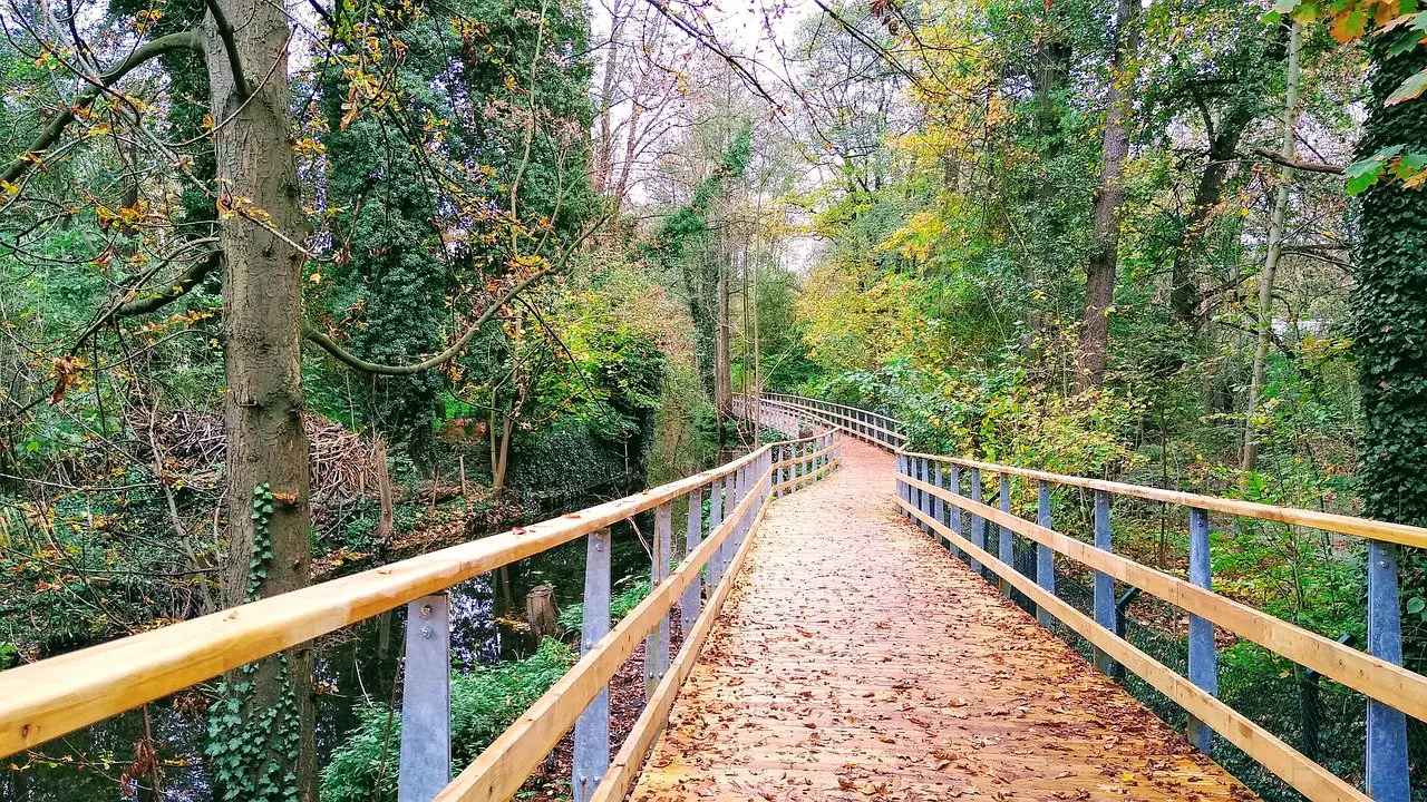 Naturpark Barnim, l'immensa riserva naturale appena fuori Berlino