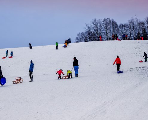 https://pixabay.com/it/photos/inverno-neve-slitta-slittino-3917939/