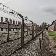 Auschwitz da Pixabay https://pixabay.com/it/photos/auschwitz-i-auschwitz-polonia-3671388/
