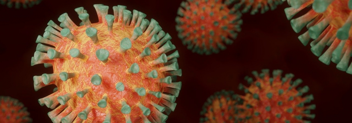 Pandemia in Germania - Coronavirus ©BlenderTimer da Pixabay https://pixabay.com/de/photos/coronavirus-corona-virus-pandemie-4972480/