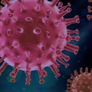 Coronavirus - Quarta Ondata Bild von PIRO4D auf Pixabay https://pixabay.com/de/illustrations/virus-covid-wissenschaft-covid19-4937553/