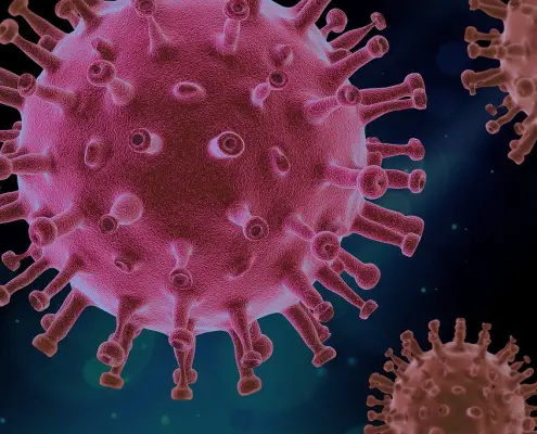 Coronavirus - Quarta Ondata Bild von PIRO4D auf Pixabay https://pixabay.com/de/illustrations/virus-covid-wissenschaft-covid19-4937553/