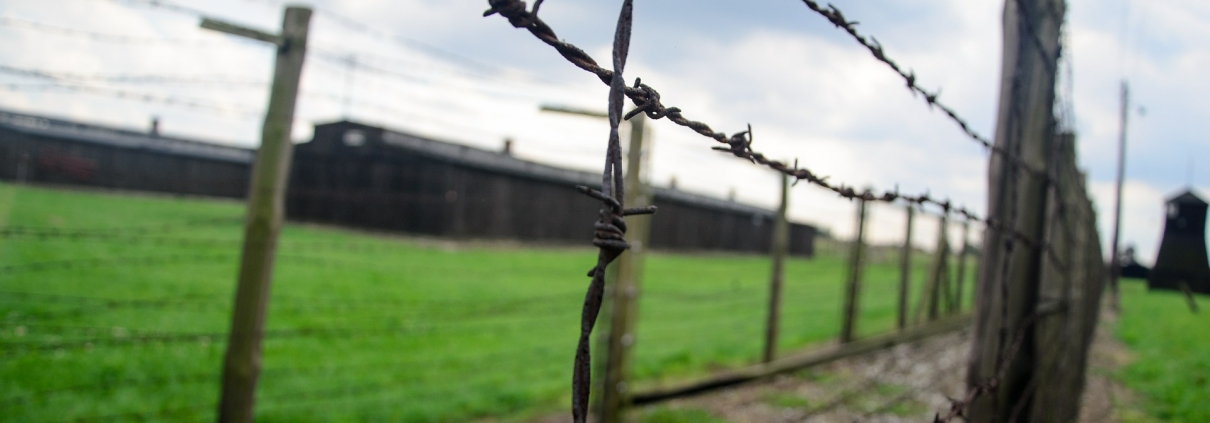 Olocausto https://pixabay.com/it/photos/recinzione-olocausto-filo-spinato-444416/ CC0