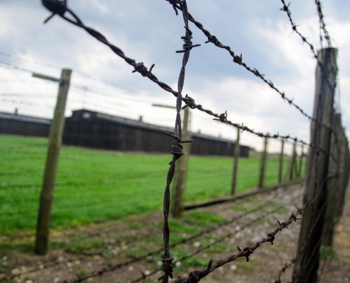Olocausto https://pixabay.com/it/photos/recinzione-olocausto-filo-spinato-444416/ CC0