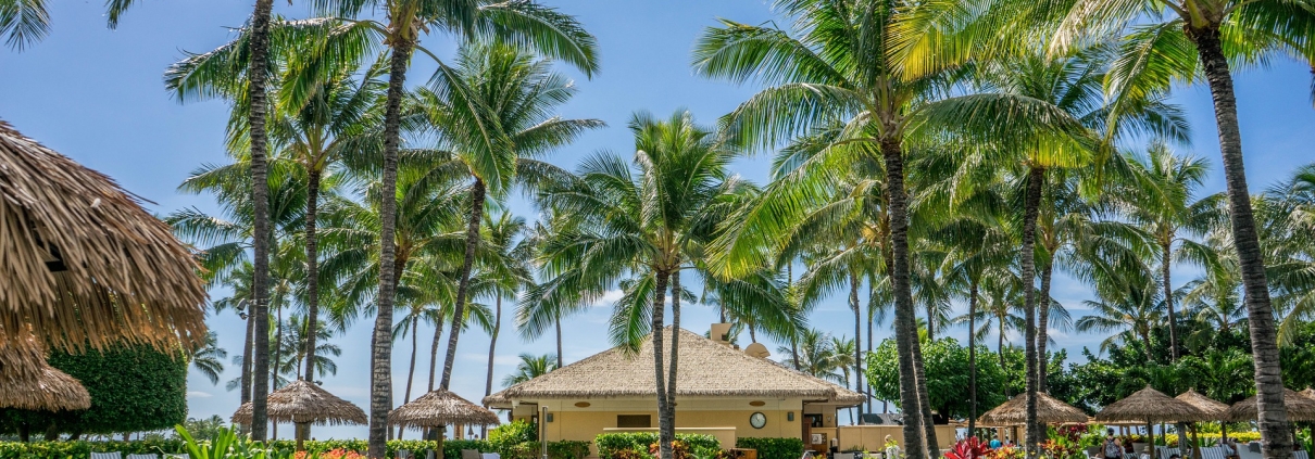 Tropical Resort, di Michelle Raponi da Pixabay CC0