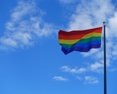 omosessualità, Paragrafo 175, CC0 Public domain, foto da pixabay, https://pixabay.com/it/photos/orgoglio-gay-bandiera-dell-orgoglio-2444576/
