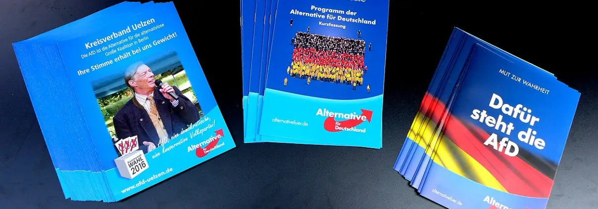 Alternative für Deutschland - hand bills, flyer
