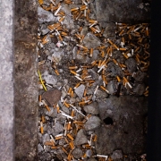 cicche di sigarette