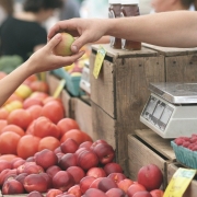 Mercato di frutta e verdura CC0 di ©pexels da Pixabay https://pixabay.com/it/photos/mele-mercato-del-contadino-1841132/