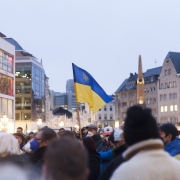 Sostegno per l’Ucraina in Germania CC0 di ©samuelfrancisjohnson da Pixabay https://pixabay.com/it/photos/dimostrazione-protesta-bandiera-7035471/