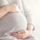 Ostetrica e maternità, https://pixabay.com/it/photos/incinta-donna-gonfiarsi-gravidanza-5749676/, fezailc, cc 0.0 BY-SA, Pixabay Licence
