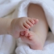 https://pixabay.com/it/photos/baby-bambino-nipote-piedi-6823431/,CC0, Marjon Besteman, Pixabay