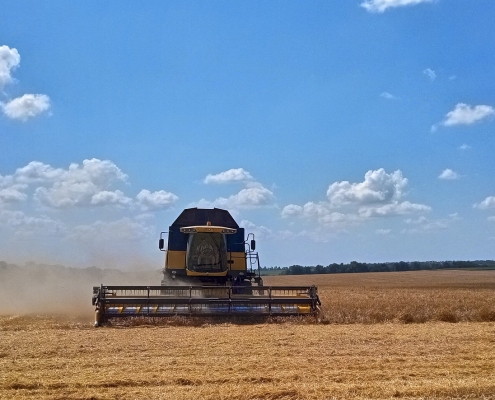 esportazione di grano ucraino