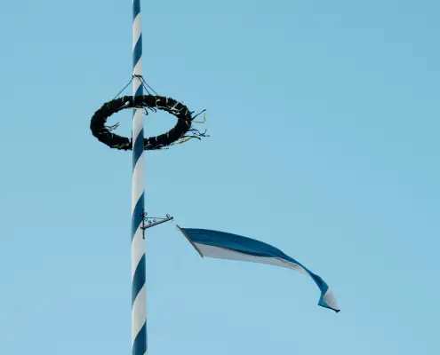 maibaum